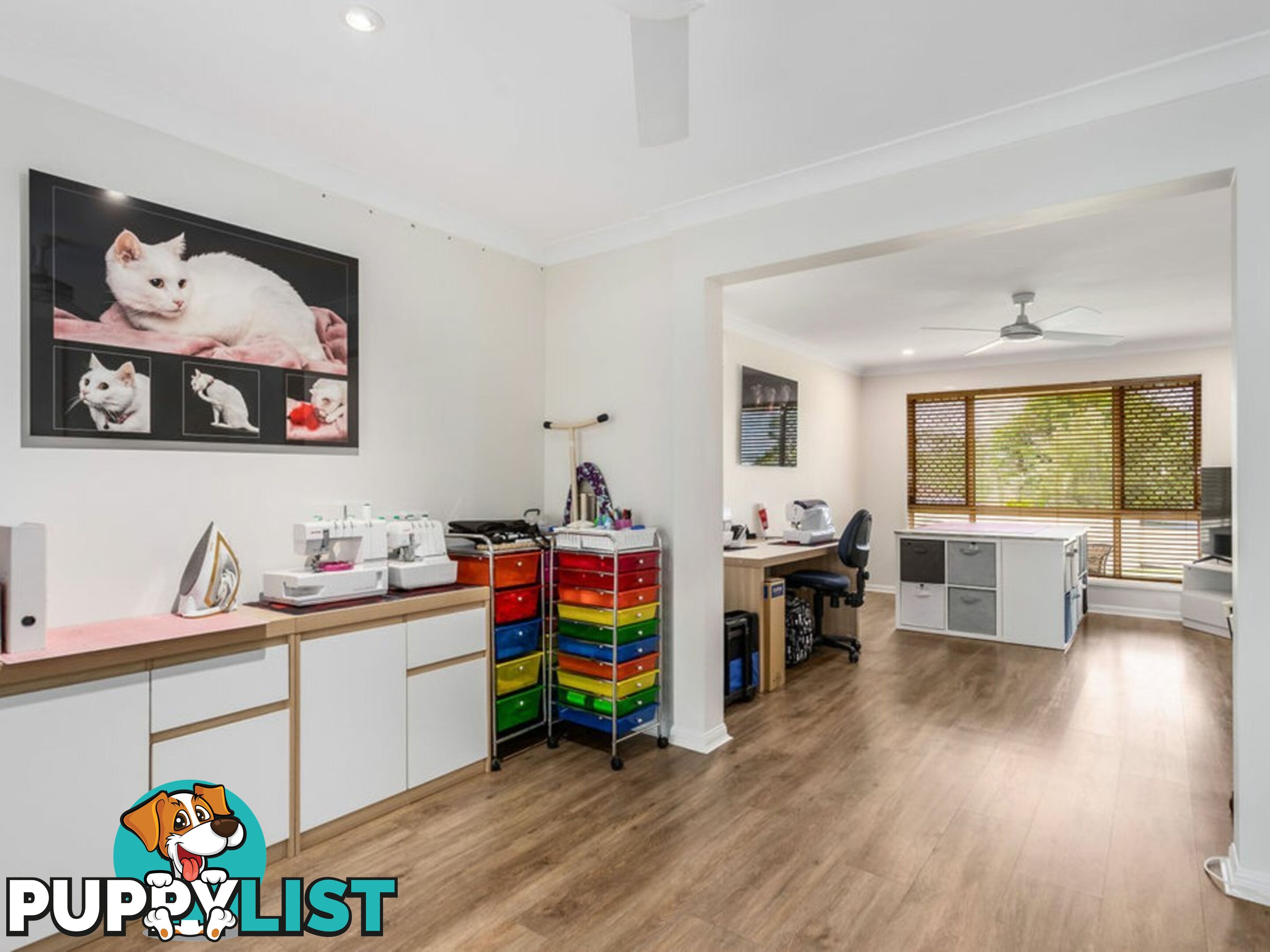 9 Banjo Place SPRINGFIELD QLD 4300