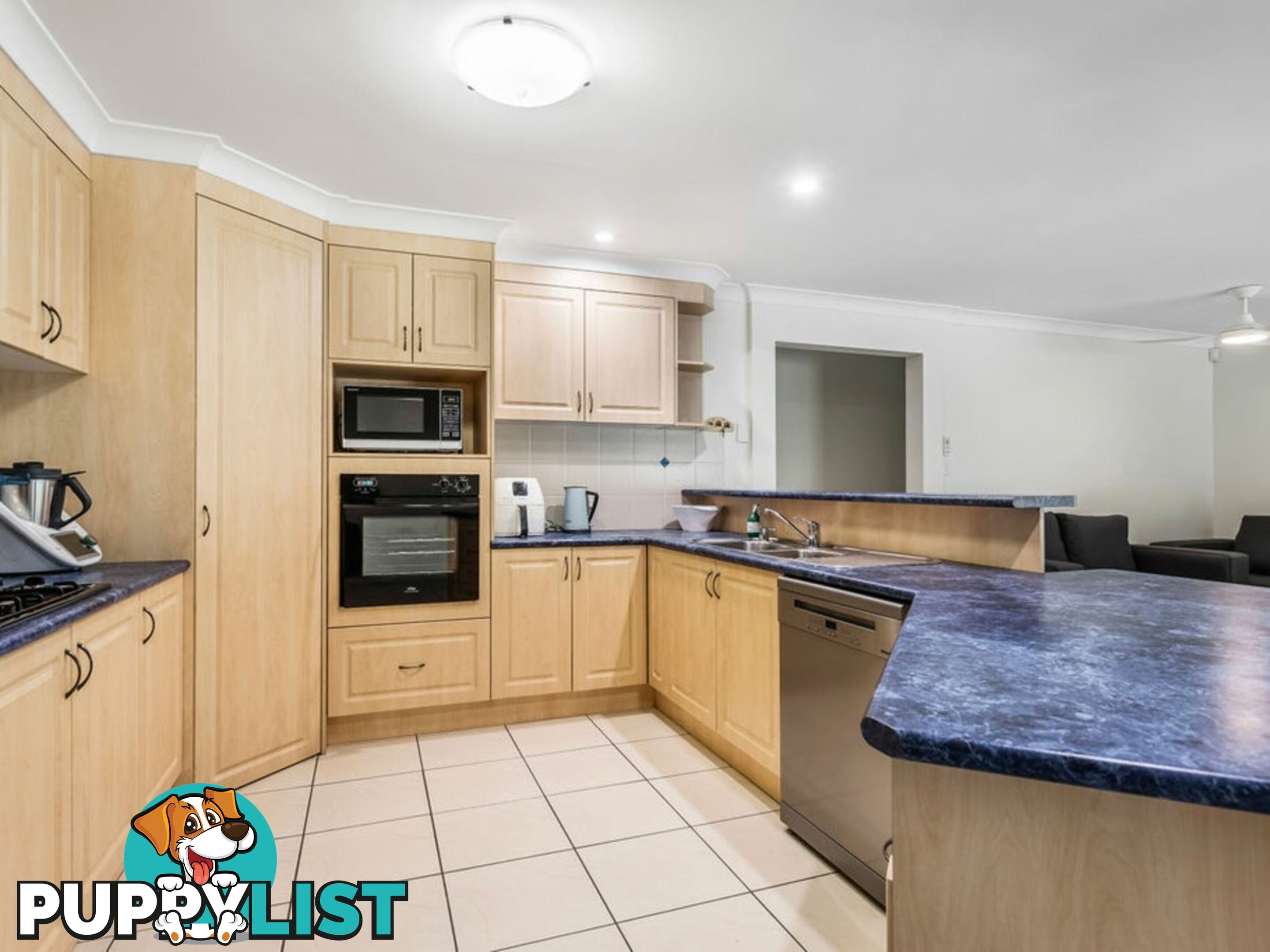 9 Banjo Place SPRINGFIELD QLD 4300