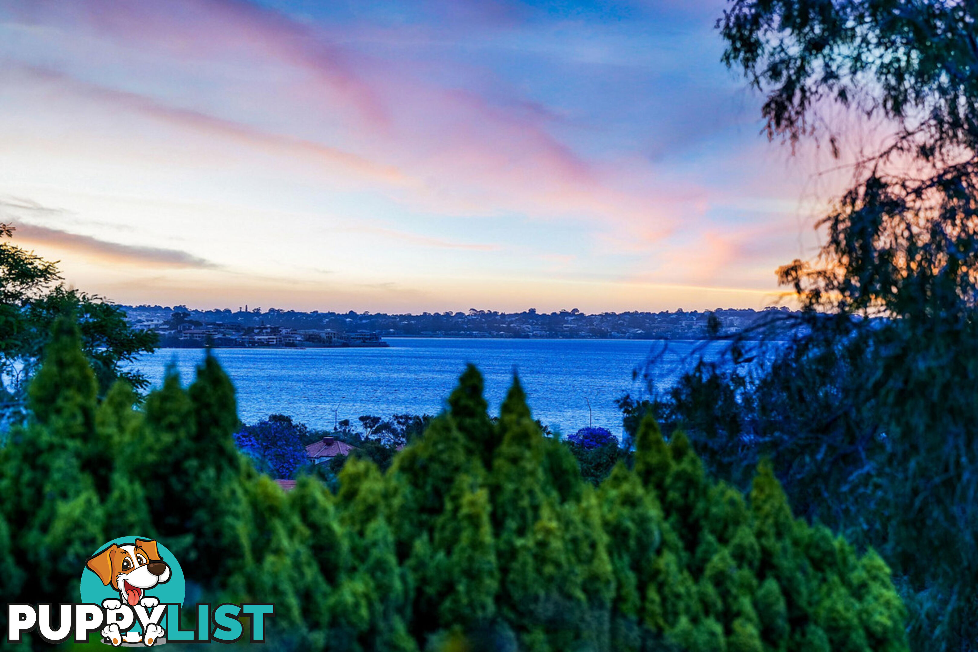 116 Forrest Street South Perth WA 6151
