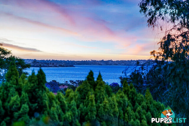 116 Forrest Street South Perth WA 6151