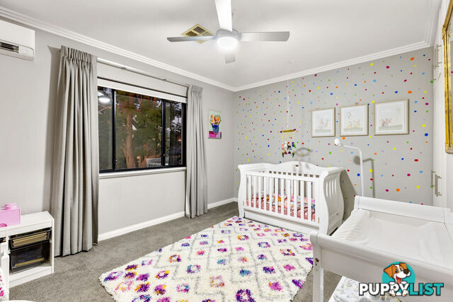 3B Ventnor Avenue Mount Pleasant WA 6153