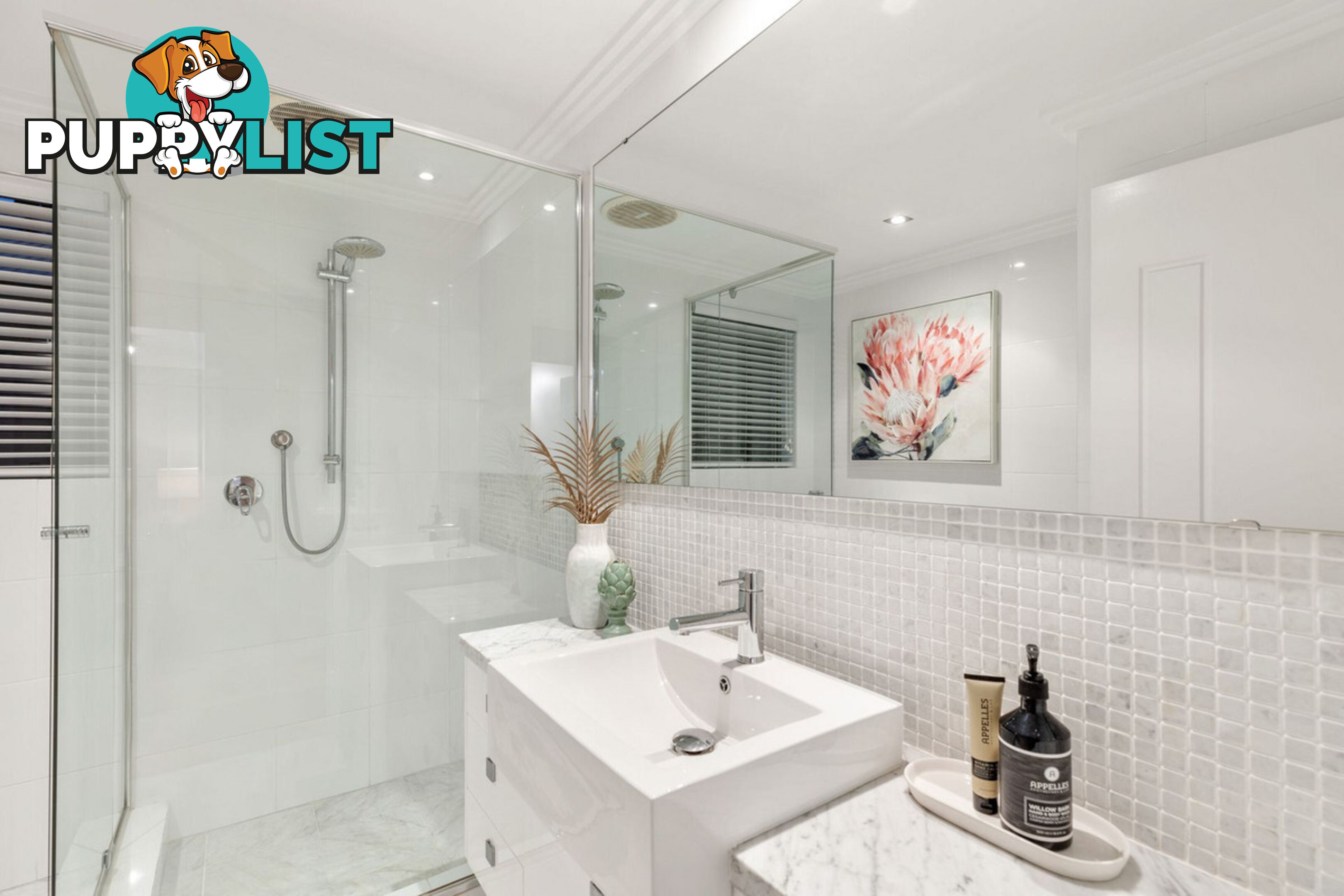 3B Ventnor Avenue Mount Pleasant WA 6153