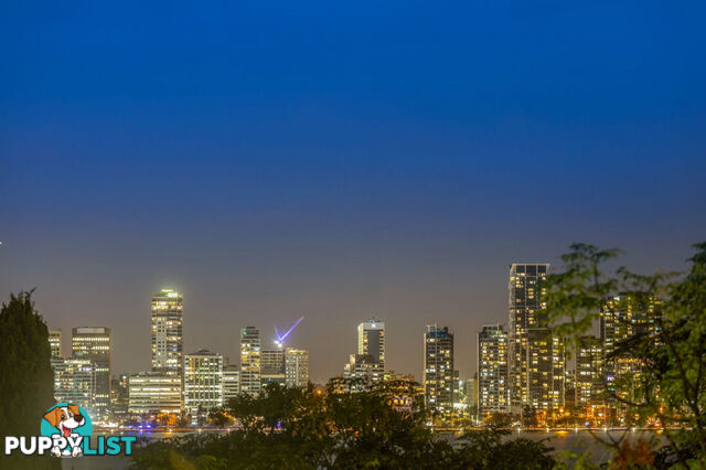 14 Hopetoun Street South Perth WA 6151
