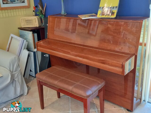 Piano - enjoy live music