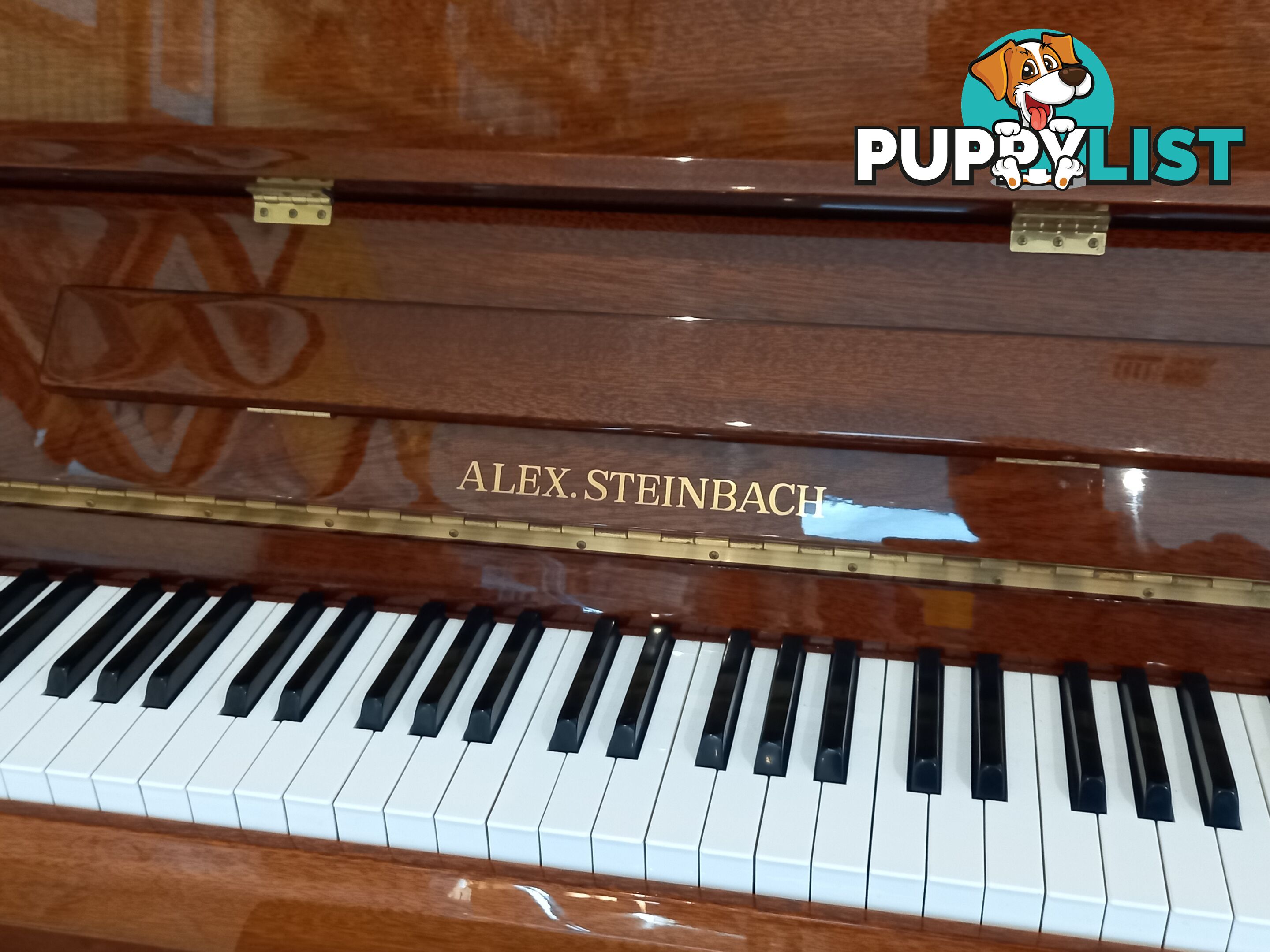 Piano - enjoy live music