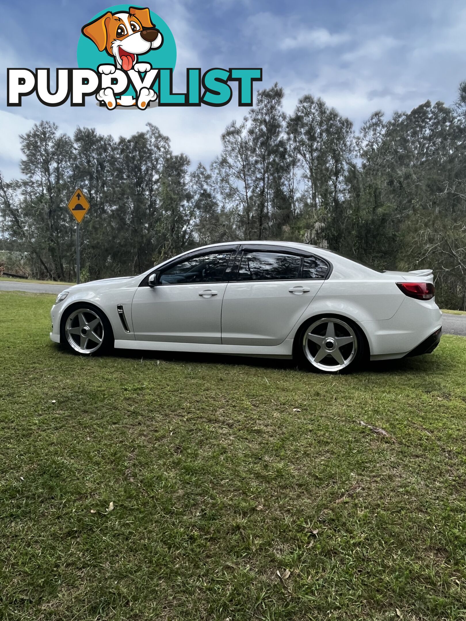 2016 Holden Commodore VF SERIES II SV6 Sedan Automatic