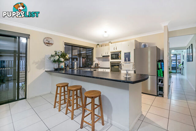 10 Kingair Road UPPER COOMERA QLD 4209