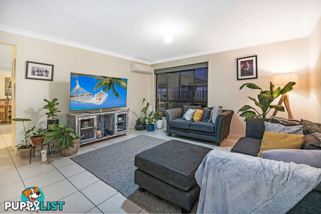 10 Kingair Road UPPER COOMERA QLD 4209