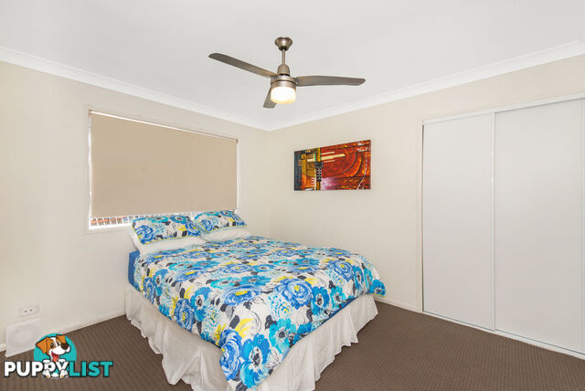 9 Krystle Court UPPER COOMERA QLD 4209