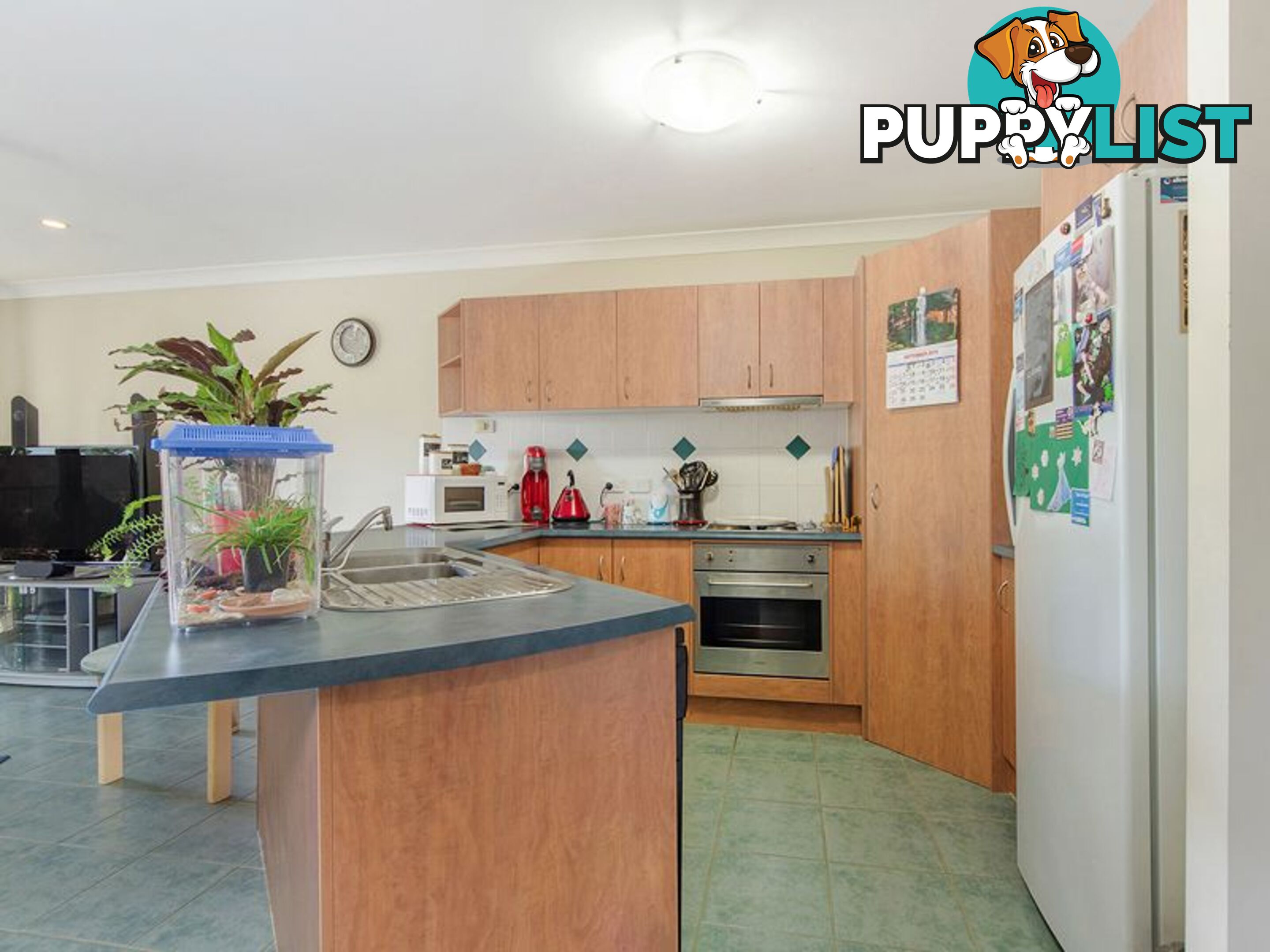 2/18 Dickinson Street UPPER COOMERA QLD 4209