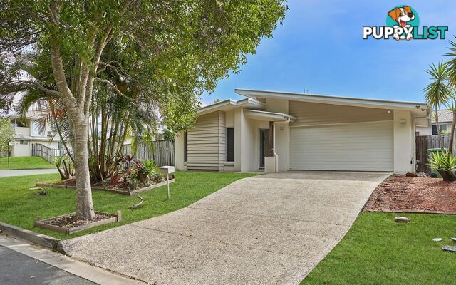 35 Andromeda Drive COOMERA QLD 4209