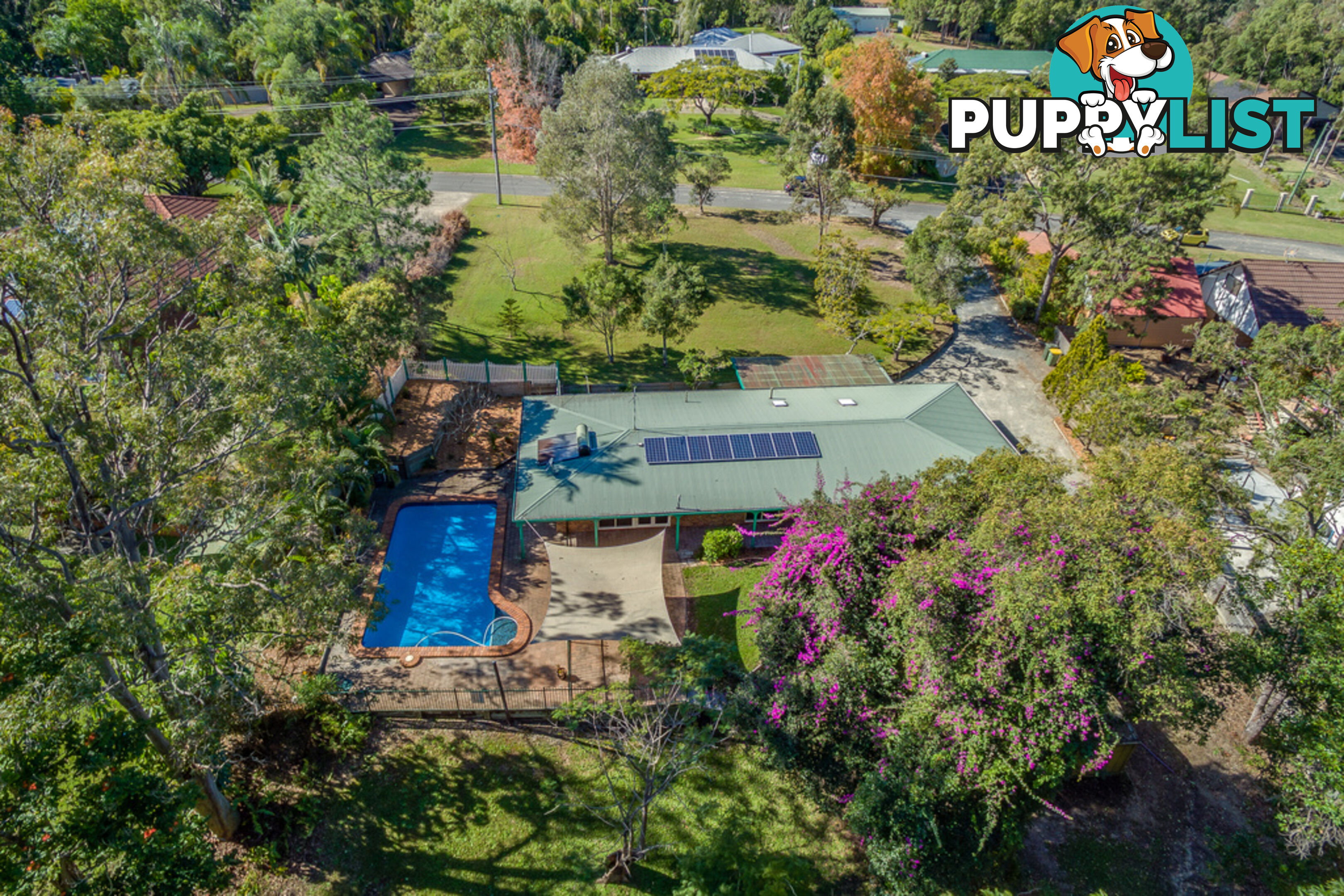 11 Winderadeen Court NERANG QLD 4211