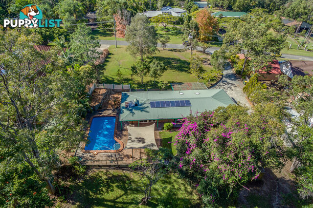 11 Winderadeen Court NERANG QLD 4211