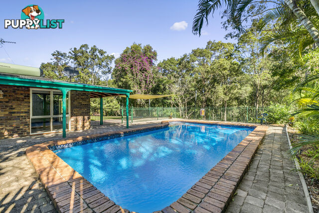 11 Winderadeen Court NERANG QLD 4211