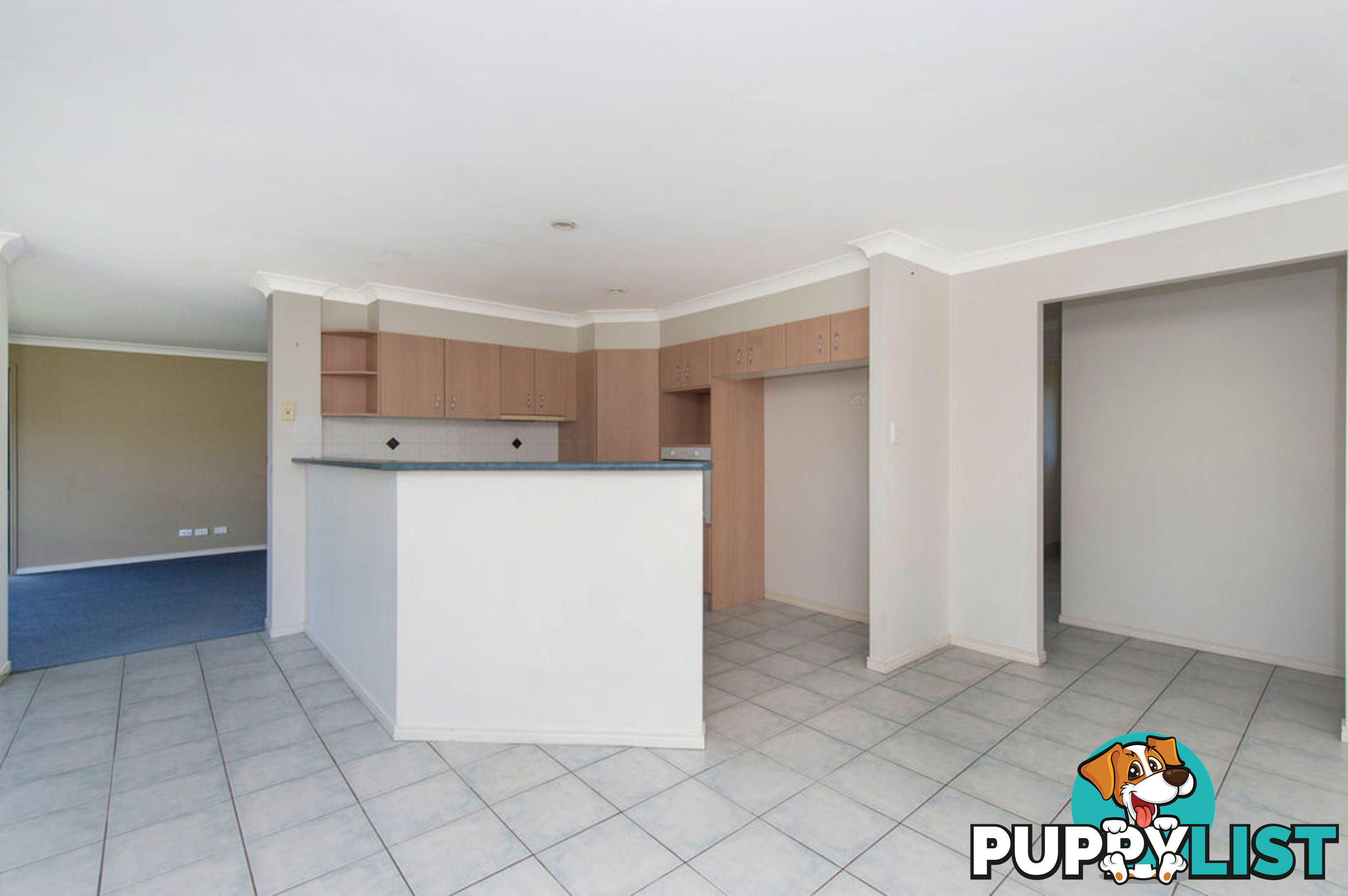 21 Firecrest Close UPPER COOMERA QLD 4209