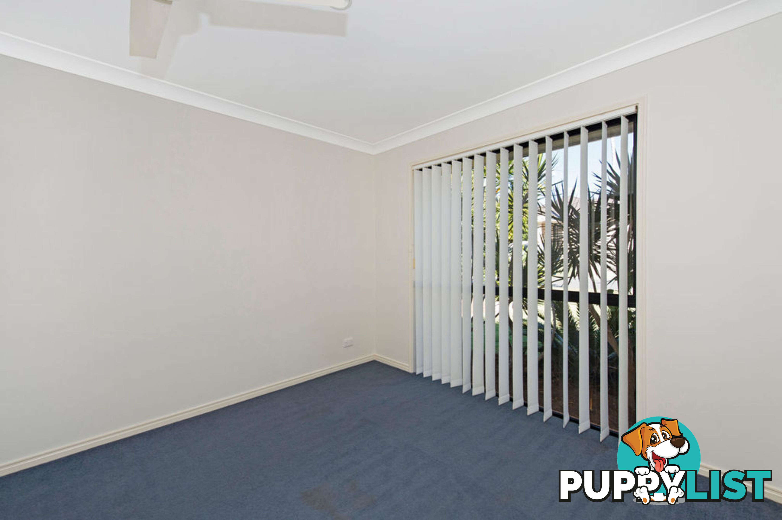 21 Firecrest Close UPPER COOMERA QLD 4209