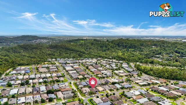 23 Yarrambat Rise UPPER COOMERA QLD 4209