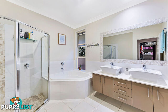 51 Annabelle Crescent UPPER COOMERA QLD 4209