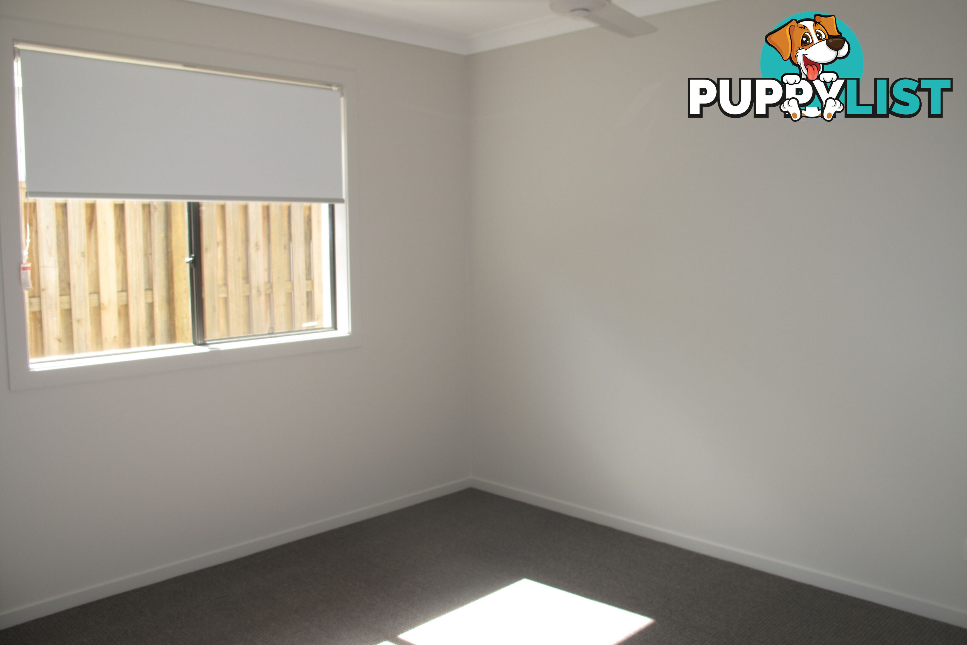 45 Moorinya Circuit PIMPAMA QLD 4209