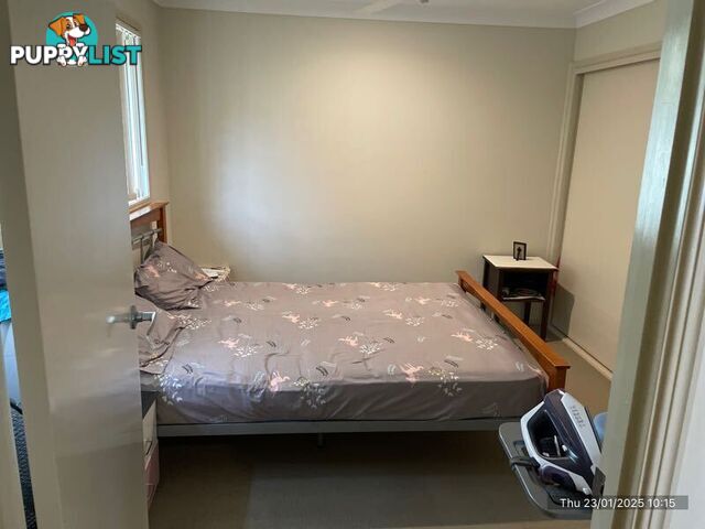 2/36 Filbert Street UPPER COOMERA QLD 4209