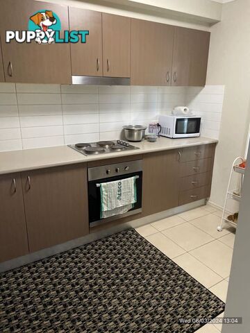 2/36 Filbert Street UPPER COOMERA QLD 4209