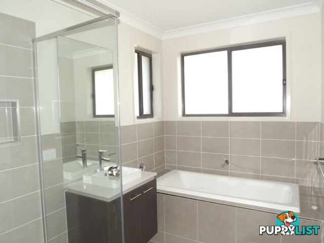 15 Pisces Court COOMERA QLD 4209