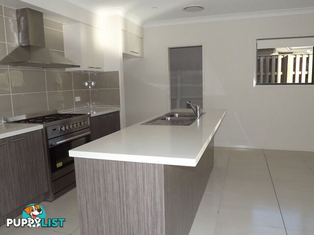 15 Pisces Court COOMERA QLD 4209
