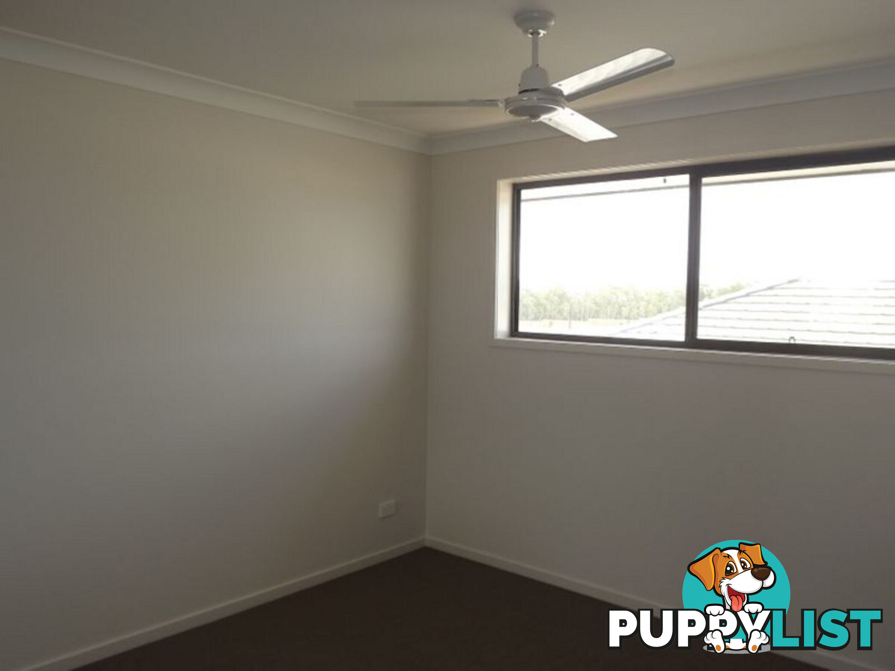 15 Pisces Court COOMERA QLD 4209