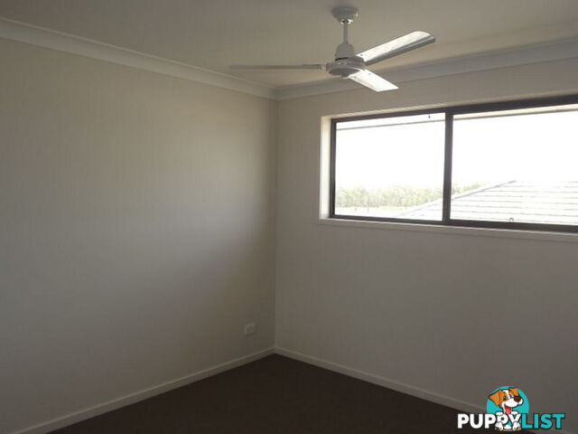 15 Pisces Court COOMERA QLD 4209