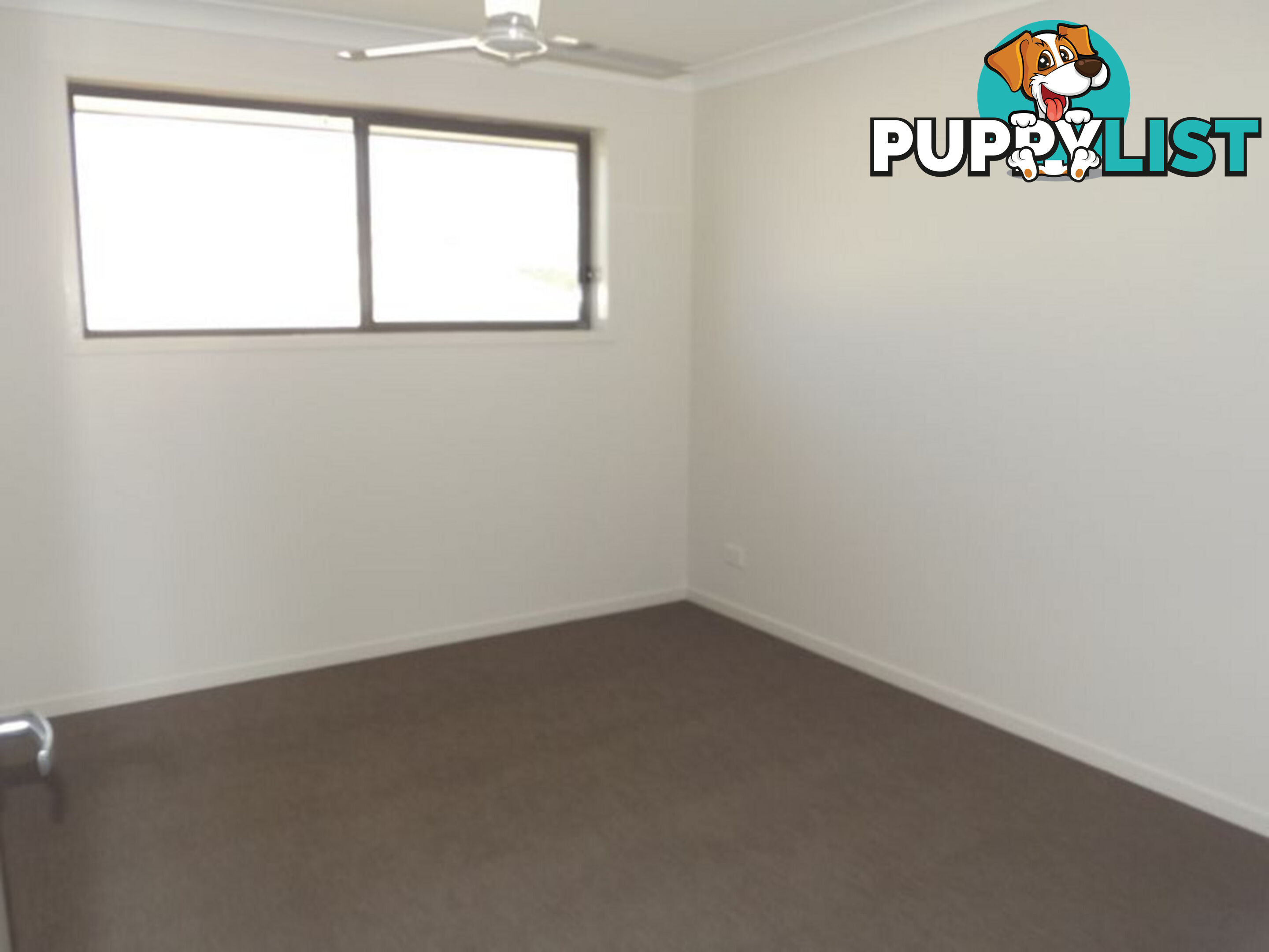 15 Pisces Court COOMERA QLD 4209