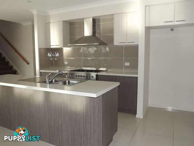 15 Pisces Court COOMERA QLD 4209