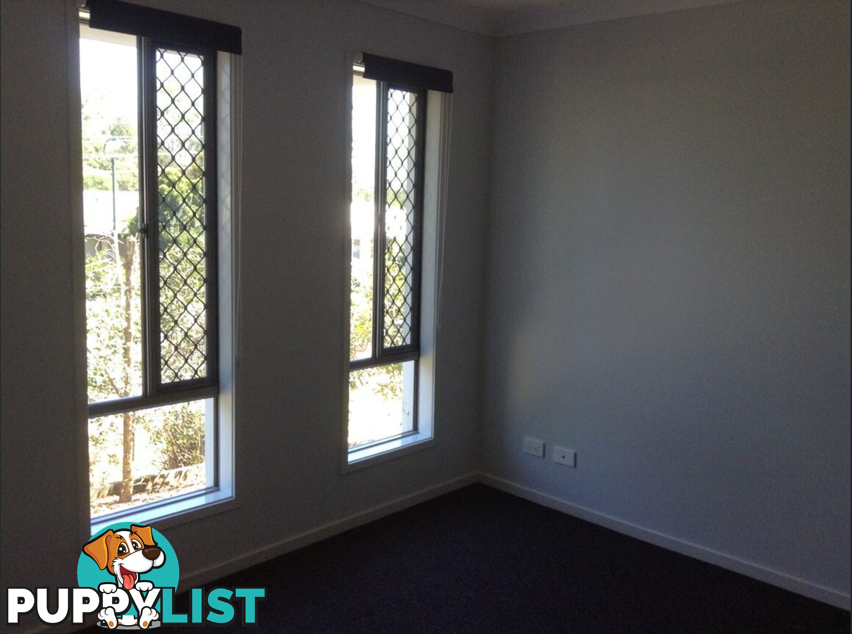 21 Nickel Street PIMPAMA QLD 4209