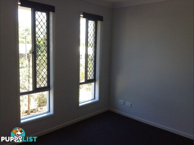 21 Nickel Street PIMPAMA QLD 4209