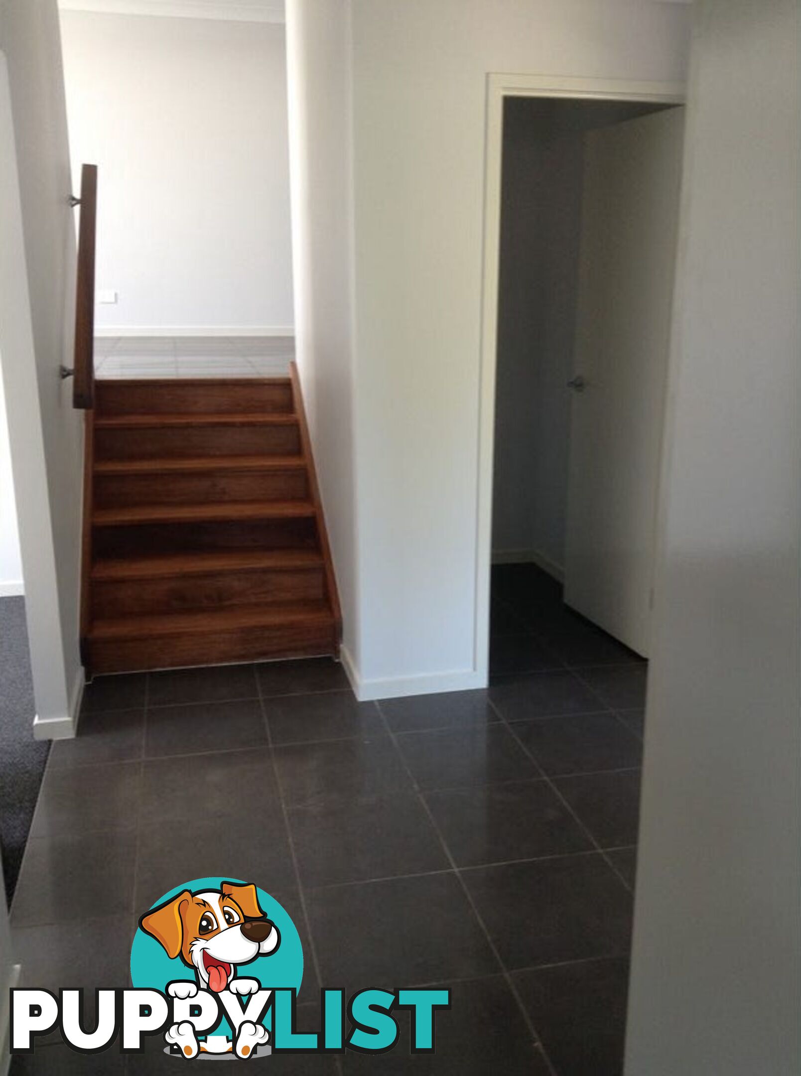21 Nickel Street PIMPAMA QLD 4209