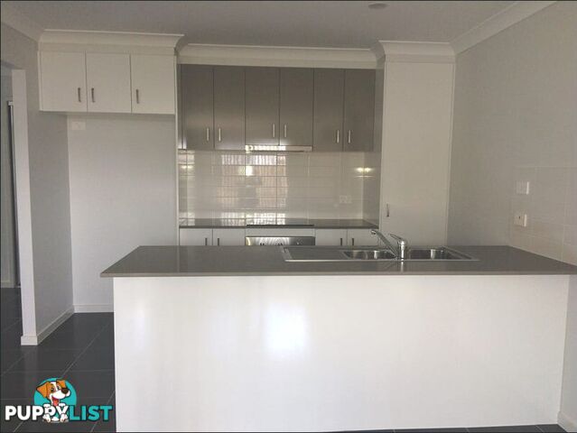 21 Nickel Street PIMPAMA QLD 4209