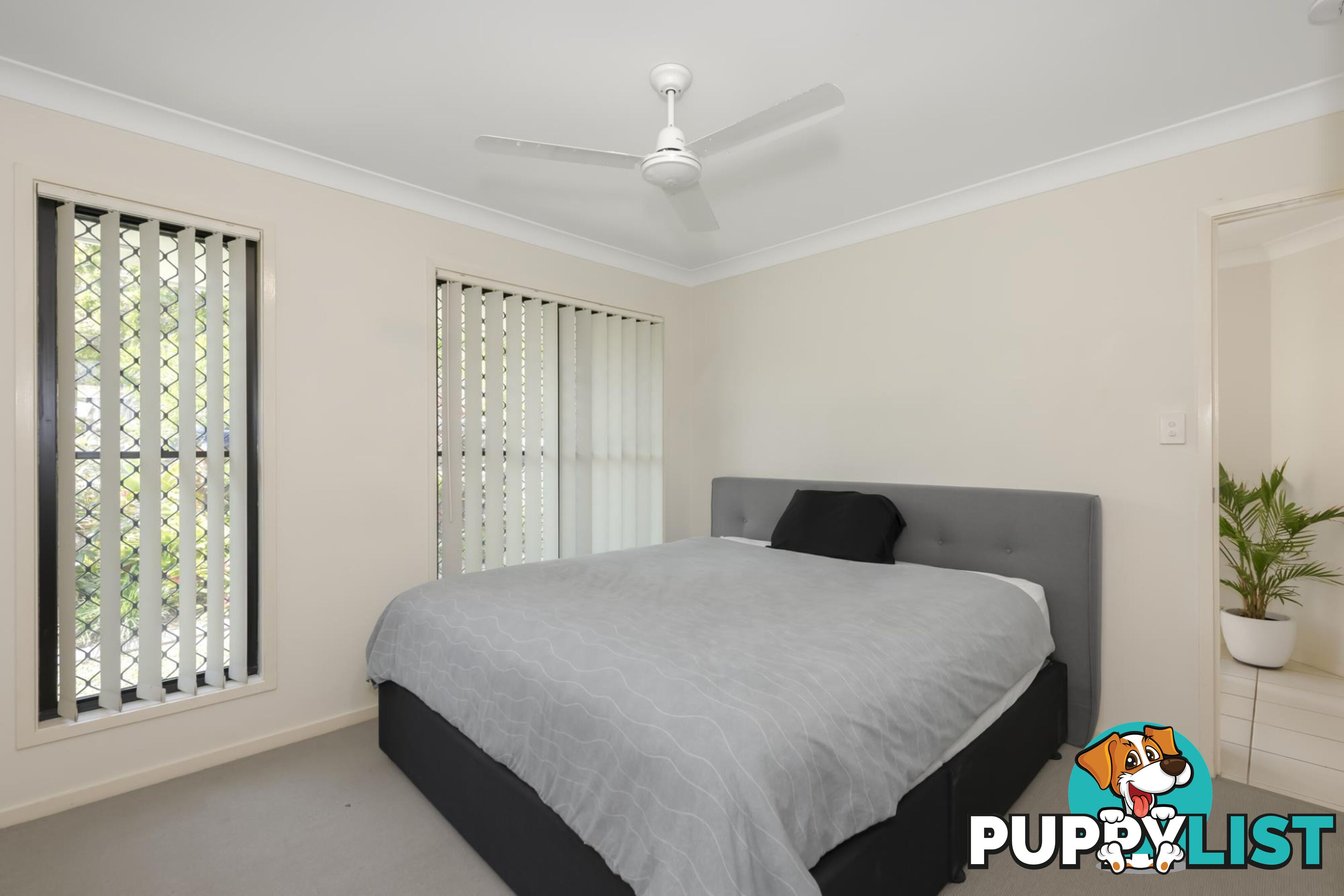 17 Gerard Street PACIFIC PINES QLD 4211