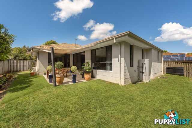 17 Gerard Street PACIFIC PINES QLD 4211