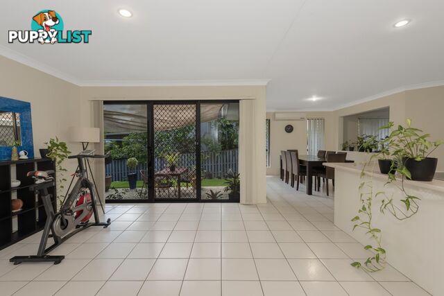 17 Gerard Street PACIFIC PINES QLD 4211