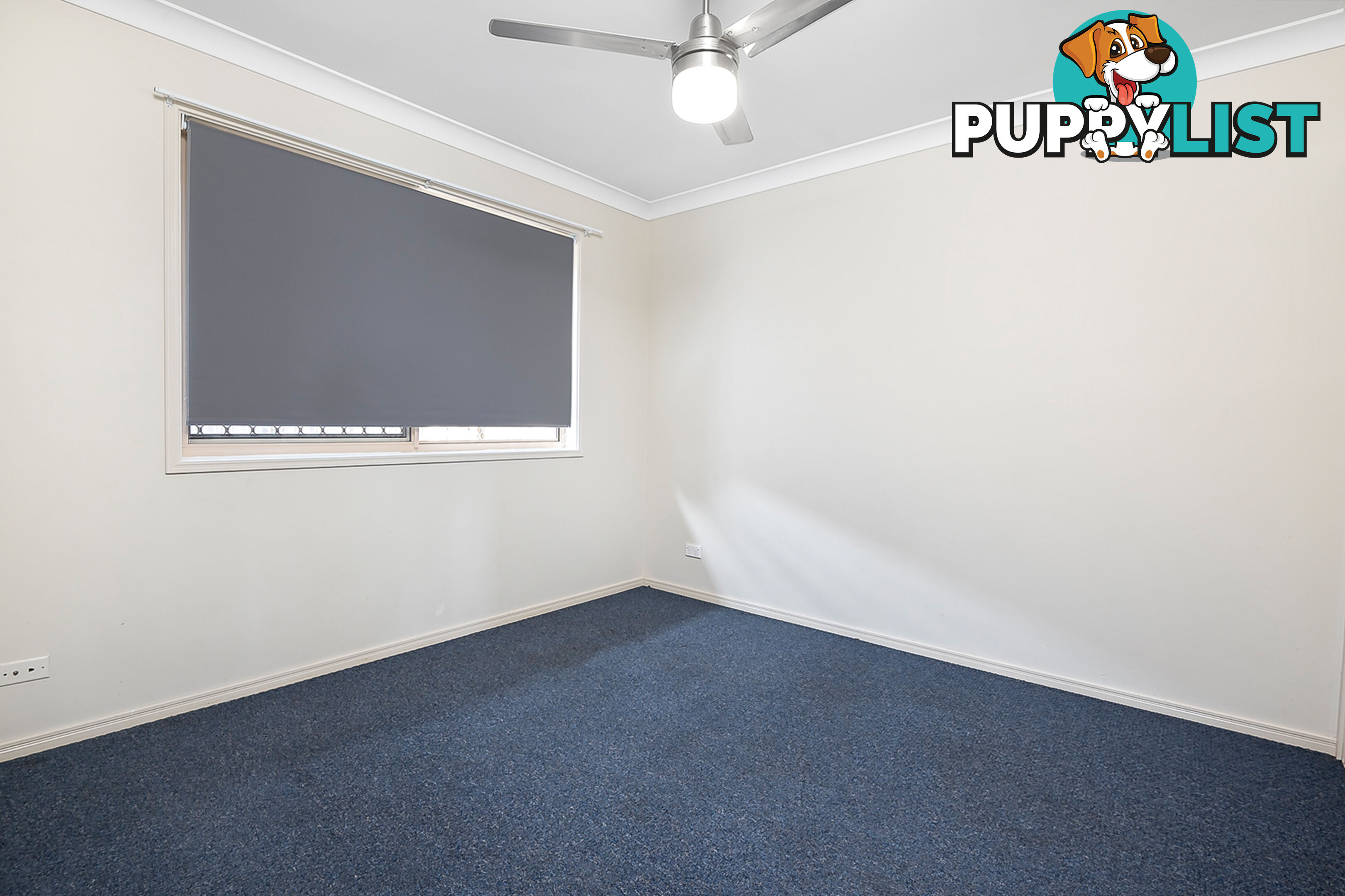 19 Jaxson Terrace PIMPAMA QLD 4209