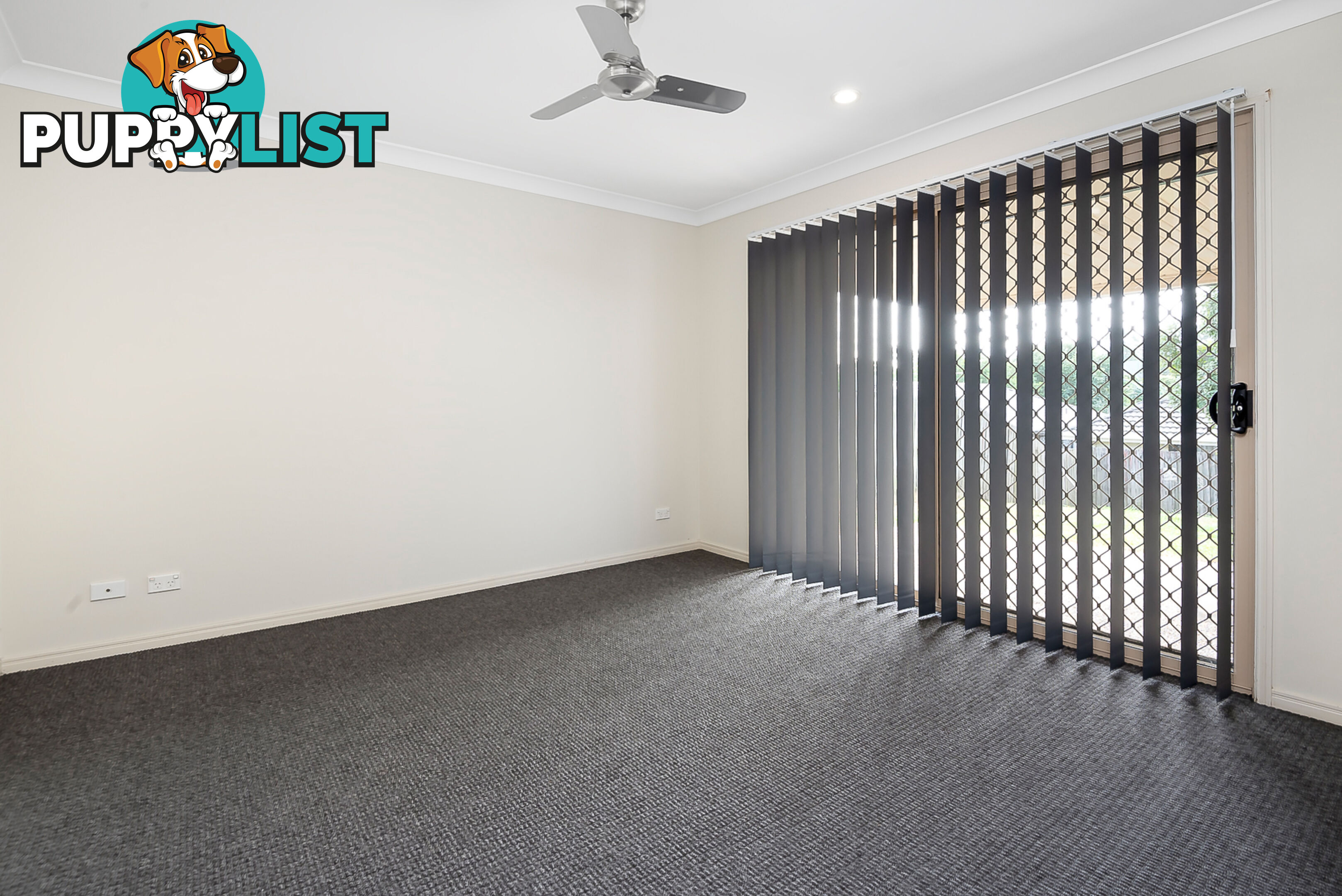 19 Jaxson Terrace PIMPAMA QLD 4209