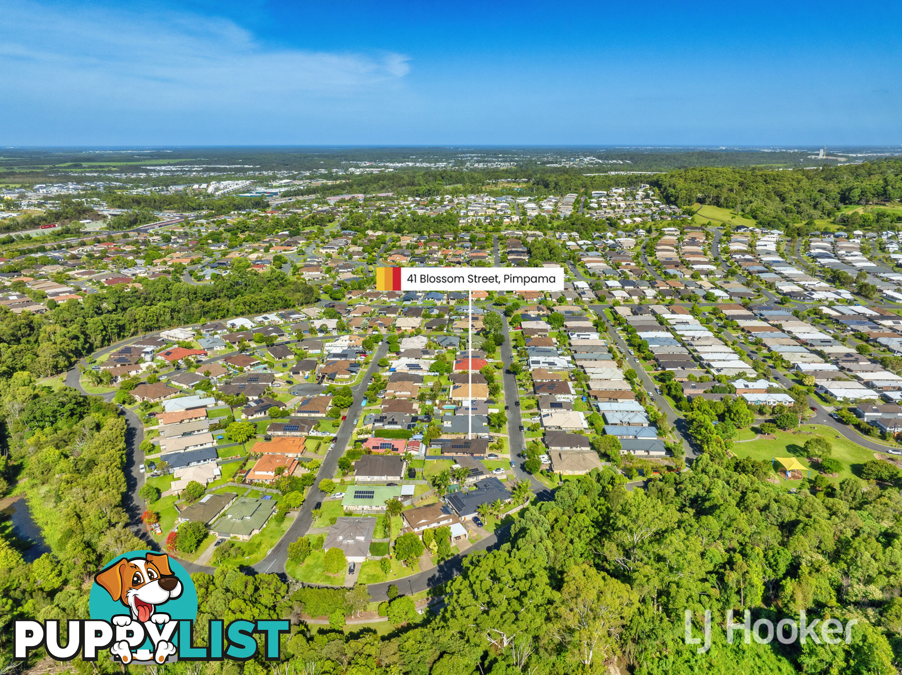 41 Blossom Street PIMPAMA QLD 4209