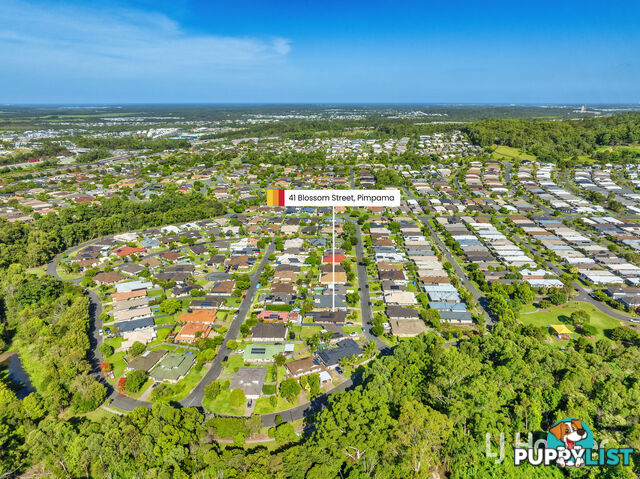 41 Blossom Street PIMPAMA QLD 4209