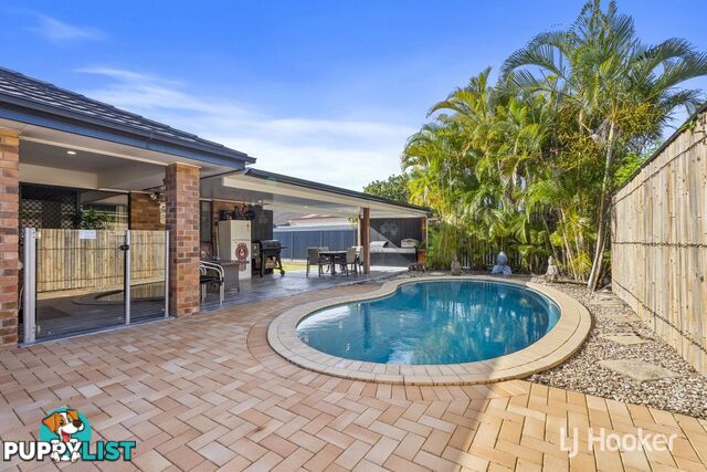 41 Blossom Street PIMPAMA QLD 4209