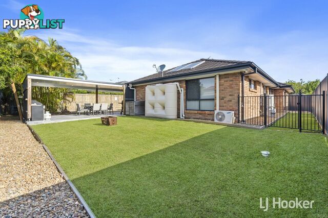 41 Blossom Street PIMPAMA QLD 4209