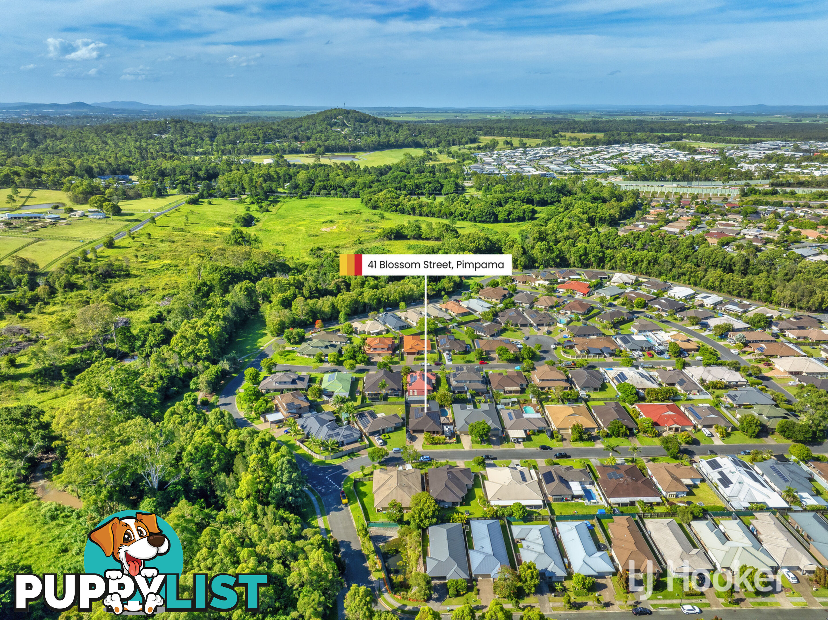 41 Blossom Street PIMPAMA QLD 4209