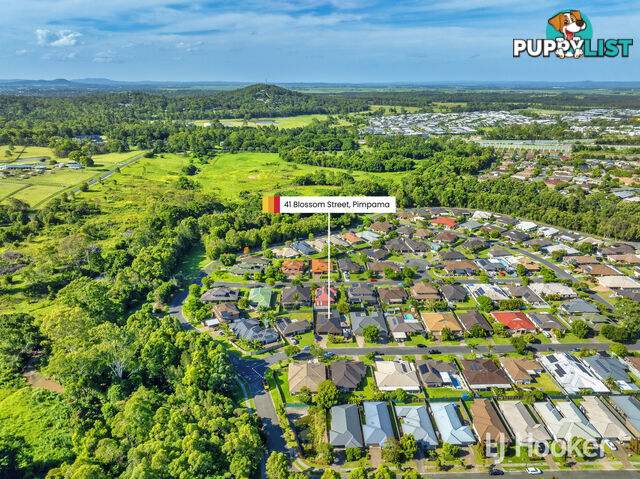 41 Blossom Street PIMPAMA QLD 4209