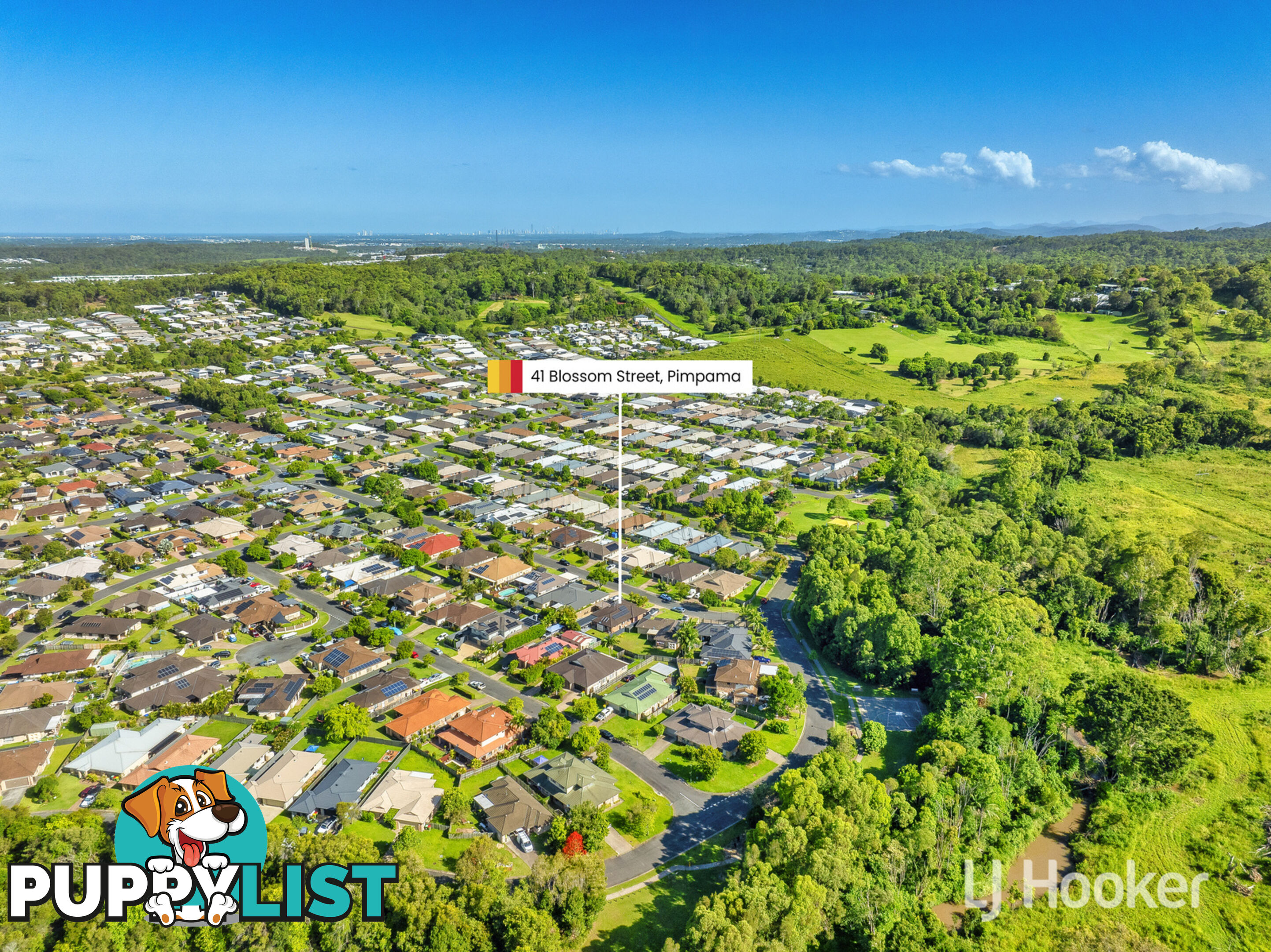 41 Blossom Street PIMPAMA QLD 4209