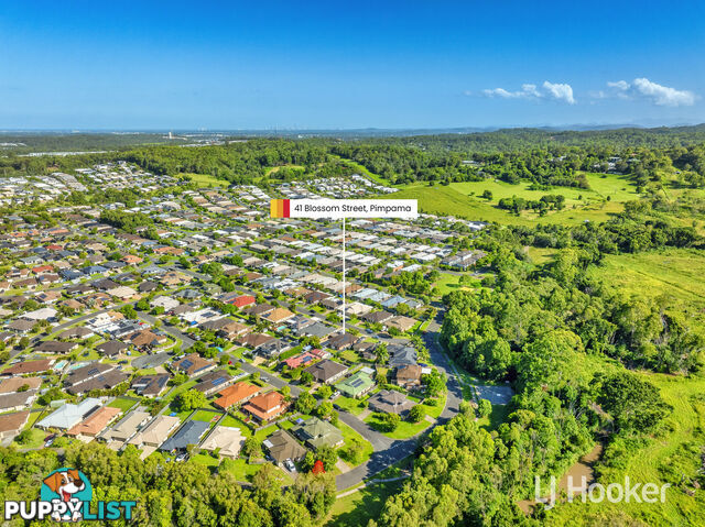 41 Blossom Street PIMPAMA QLD 4209