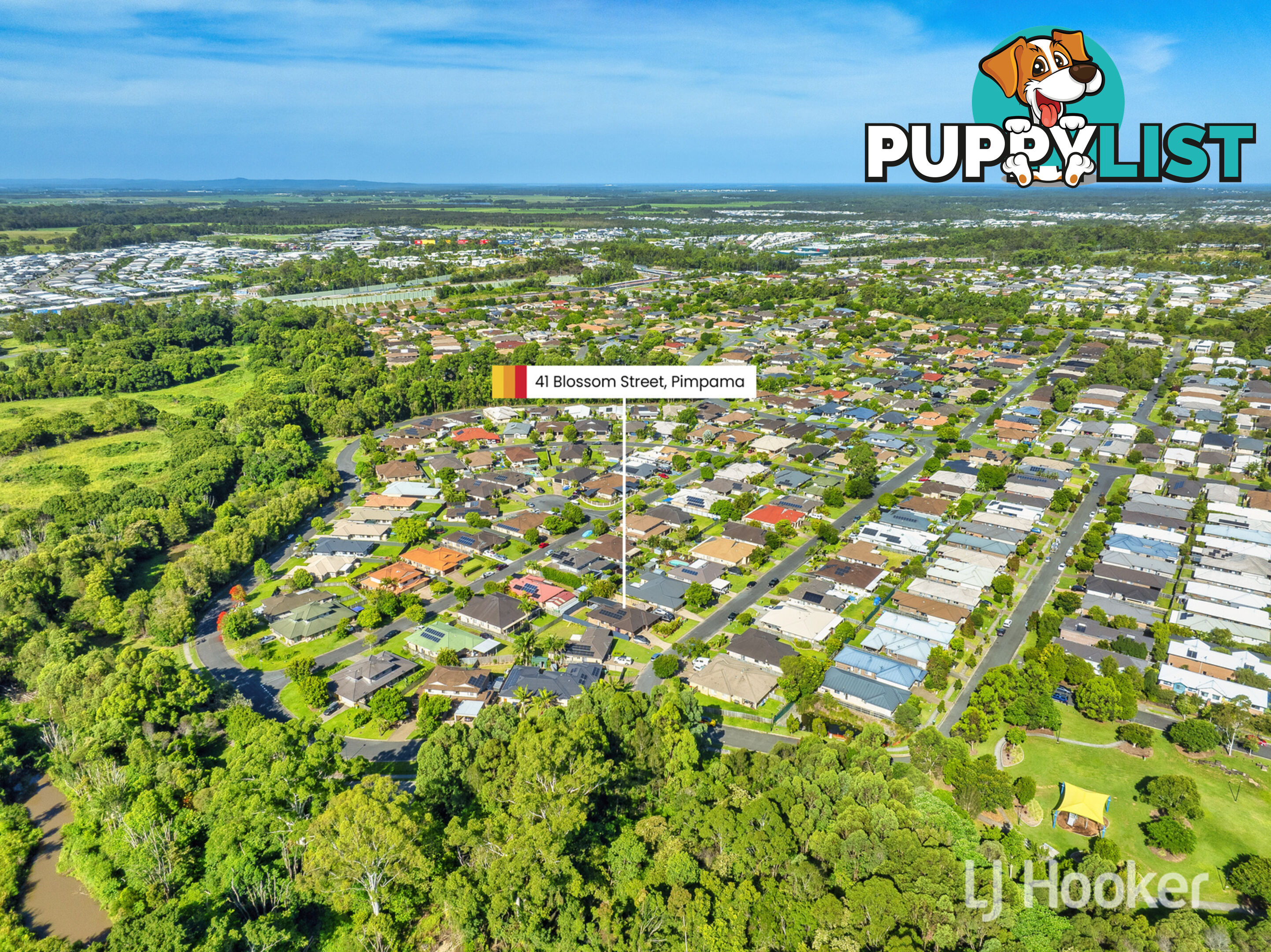 41 Blossom Street PIMPAMA QLD 4209