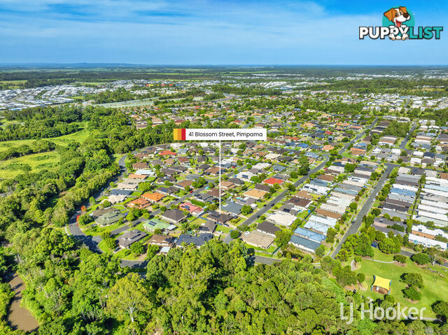 41 Blossom Street PIMPAMA QLD 4209